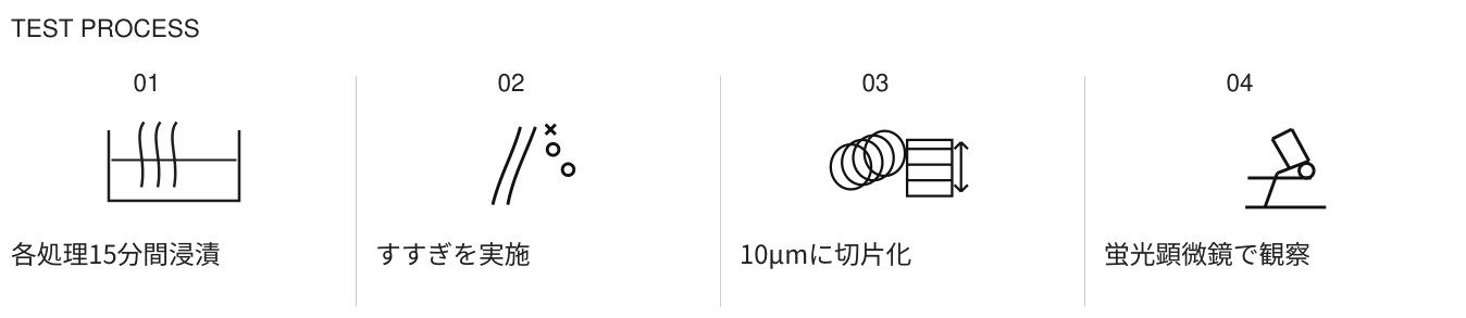 試験手順：各処理15分間浸漬、すすぎ、厚さ10μmに切片化、蛍光顕微鏡で観察