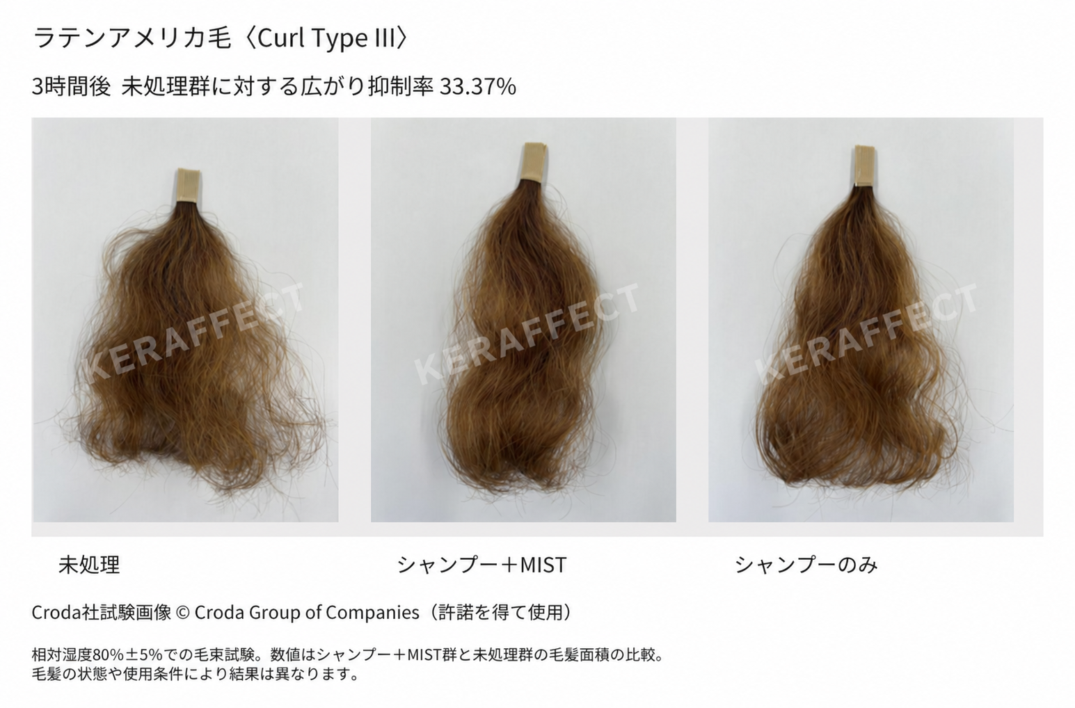 ラテンアメリカ毛の3時間後。左から未処理、シャンプー＋MIST、シャンプーのみ。未処理群に対する広がり抑制率33.37％